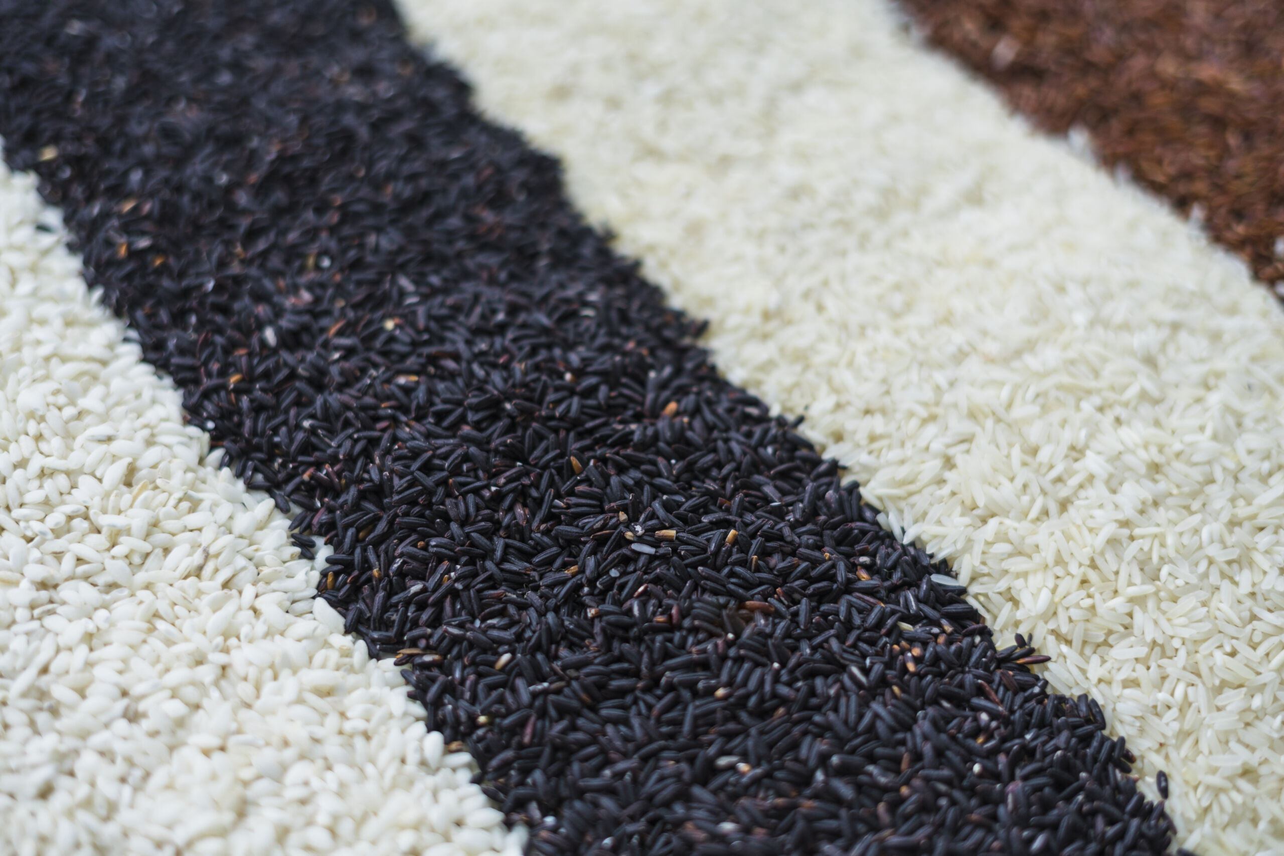 difference-types-rice-texture-background